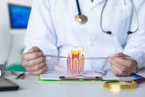 Best Broken or Cracked Tooth Emergency Dentist in Santa Clara, OR